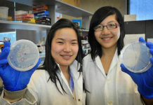 Estudiantes crean bacteria que come el plástico de los océanos y lo transforma en agua