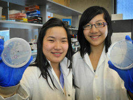 Estudiantes crean bacteria que come el plástico de los océanos y lo transforma en agua