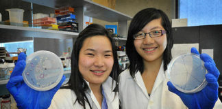 Estudiantes crean bacteria que come el plástico de los océanos y lo transforma en agua