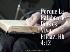 Palabra Diaria