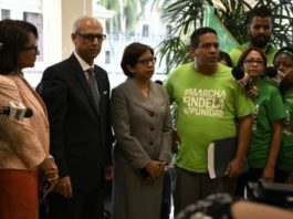 Grupos entregan en Palacio Nacional firmas recogidas en Libro Verde