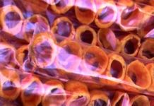 Roquetes del Santo Cerro