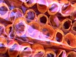 Roquetes del Santo Cerro