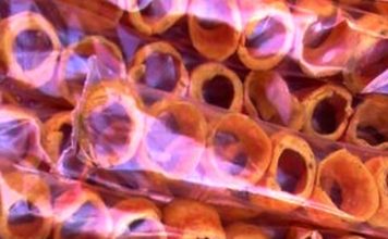 Roquetes del Santo Cerro