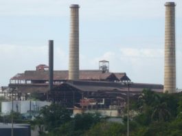 CEA tenía en su poder más de 3 millones de tareas de tierra