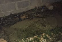 Fuga de agua sin dolientes