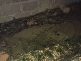 Fuga de agua sin dolientes