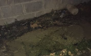 Fuga de agua sin dolientes