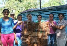 Mantas de coco de Hatillo