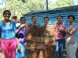 Mantas de coco de Hatillo