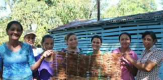 Mantas de coco de Hatillo