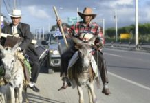 Peregrinos irán en burro desde Puerto Plata hasta el Palacio Nacional