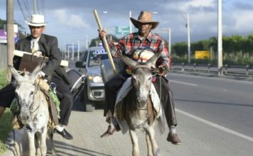 Peregrinos irán en burro desde Puerto Plata hasta el Palacio Nacional