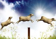 ¿De dónde viene la tradición de contar ovejas para dormir?