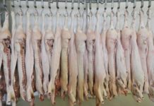 «Carne podrida y maquillada con productos cancerígenos»: el escándalo que sacude a las mayores empresas cárnicas de Brasil