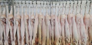 «Carne podrida y maquillada con productos cancerígenos»: el escándalo que sacude a las mayores empresas cárnicas de Brasil