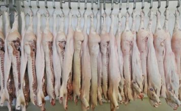 «Carne podrida y maquillada con productos cancerígenos»: el escándalo que sacude a las mayores empresas cárnicas de Brasil