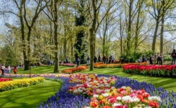 El Keukenhof en Holanda: El jardín de Europa en todo su esplendor!!!