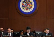 ¿Cuáles son los países que apoyan a Venezuela en la OEA?