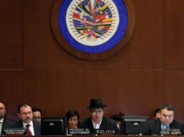 ¿Cuáles son los países que apoyan a Venezuela en la OEA?
