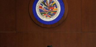 ¿Cuáles son los países que apoyan a Venezuela en la OEA?