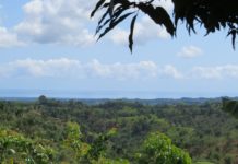 Conociendo Jamao al Norte, en el Cibao!!!