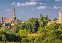 Por qué durante siglos en Europa hubo juicios contra cerdos y ratas