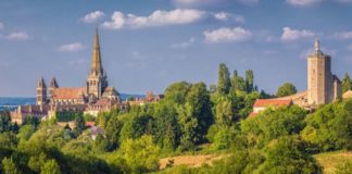 Por qué durante siglos en Europa hubo juicios contra cerdos y ratas