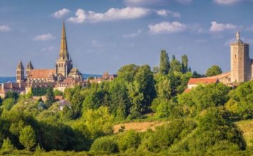 Por qué durante siglos en Europa hubo juicios contra cerdos y ratas