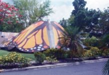 Encantos de Salcedo!!