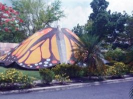 Encantos de Salcedo!!