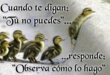 La Perseverancia Es Sinónimo De Ansias