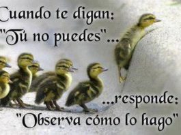 La Perseverancia Es Sinónimo De Ansias