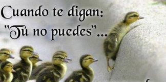 La Perseverancia Es Sinónimo De Ansias