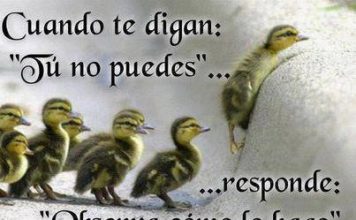 La Perseverancia Es Sinónimo De Ansias