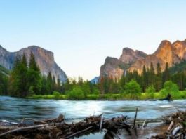 Descubre Yosemite: El parque nacional del este de California!!!