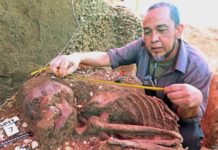 Restos humanos de la Edad de Piedra enterrados en conchas marinas en Malasia