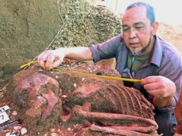 Restos humanos de la Edad de Piedra enterrados en conchas marinas en Malasia