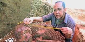 Restos humanos de la Edad de Piedra enterrados en conchas marinas en Malasia