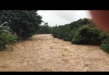 Río Yaque del Norte presenta crecida por constantes lluvias