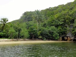Redescubre Sabana de la mar !!!