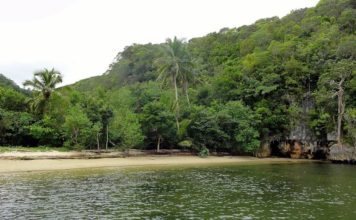 Redescubre Sabana de la mar !!!