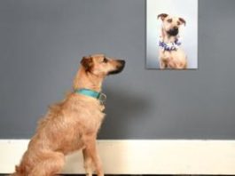 El multimillonario negocio del arte y por qué ya no necesitas ser muy rico para comprar una pieza