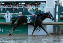 Boricua John Velazquez gana el Kentucky Derby con Always Dreaming