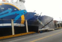 Barco choca con el puerto en la Av. del Puerto