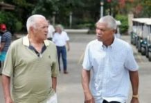 Evolución histórica de los Dominicanos en las Grandes Ligas