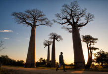 Madagascar: La isla exótica e inaudita de áfrica!!!!