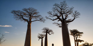 Madagascar: La isla exótica e inaudita de áfrica!!!!