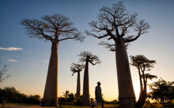 Madagascar: La isla exótica e inaudita de áfrica!!!!