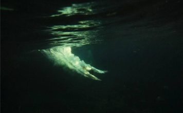 Electricidad submarina: ¿El origen de la vida en la Tierra?